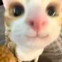 태민이와 친구들