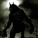 The Wolf Asylum