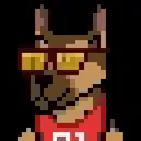 IMX DOGS