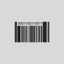 0001100110011