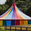 🎪Socially Awkward Circus🎪