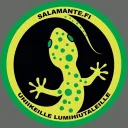Salamantefin uniikit lumihiutaleet