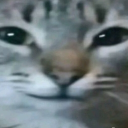 Blasphemous Discord server icon