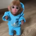 kitchen sink Discord Server Icon