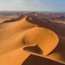 The desert