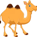 Leo Perneta🐪