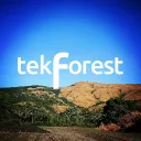 tekForest hackathons