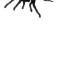 ##GG! SPïDerS WeB . Discord Server Icon