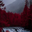 « 𝐂𝐀𝐍𝐀𝐈𝐀𝐇 »