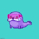 Silly Seals