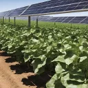 Agrivoltaics and Digital Agriculture
