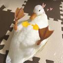 United States of Duck Discord Server Icon
