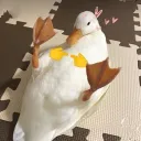 United States of Duck's icon