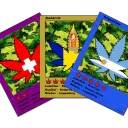 Nation Leaf Card