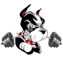 BU Barbell