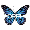 Morpho Nightclub