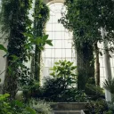 The Terrarium Discord Server Icon