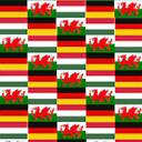 Wales - Hungary - Germany Discord Server Icon