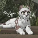 Mushroomclan