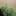 ╭﹕ʚ🍓੭・SageHaven's icon