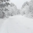 _.|_❄ 𝘝𝘦𝘯𝘪𝘪𝘤𝘦 ❄_|._ discord icon