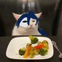 스페가 억까면 디코죠