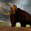 mammoth Discord Server Icon