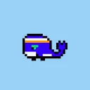 World of Whales