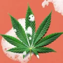 Smoke Session's