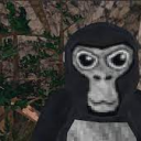 Gorilla Tag Polska
