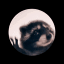 kiwicookington