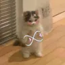 Stylish