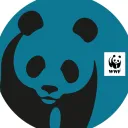 Non-Fungible Animals