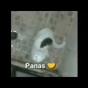 Los panas