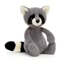 🦝RaccoonSMP🦝