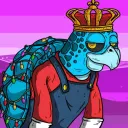 Wild Turtles NFT | IMX