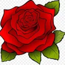 🌹Rose Lounge 🌹