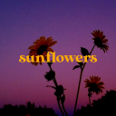 🌻 sunflowers