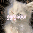 peachcord Discord server icon