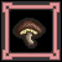 Fantomycologist