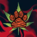 Stoned Tigers 🐯
