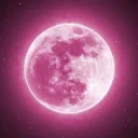 To The Moon