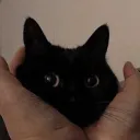 ☁ After Dark ⋆ ☾ ☁'s icon