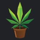 Virginia Commonwealth Cannabis Growers