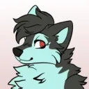 Husky's Furry Haven