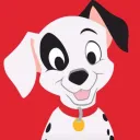 DALMATIANS 2024