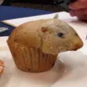 🥗cesarsalad's server🥗