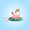 Mimocita