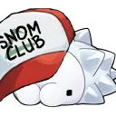 The Snom Club