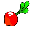 Radish Patch